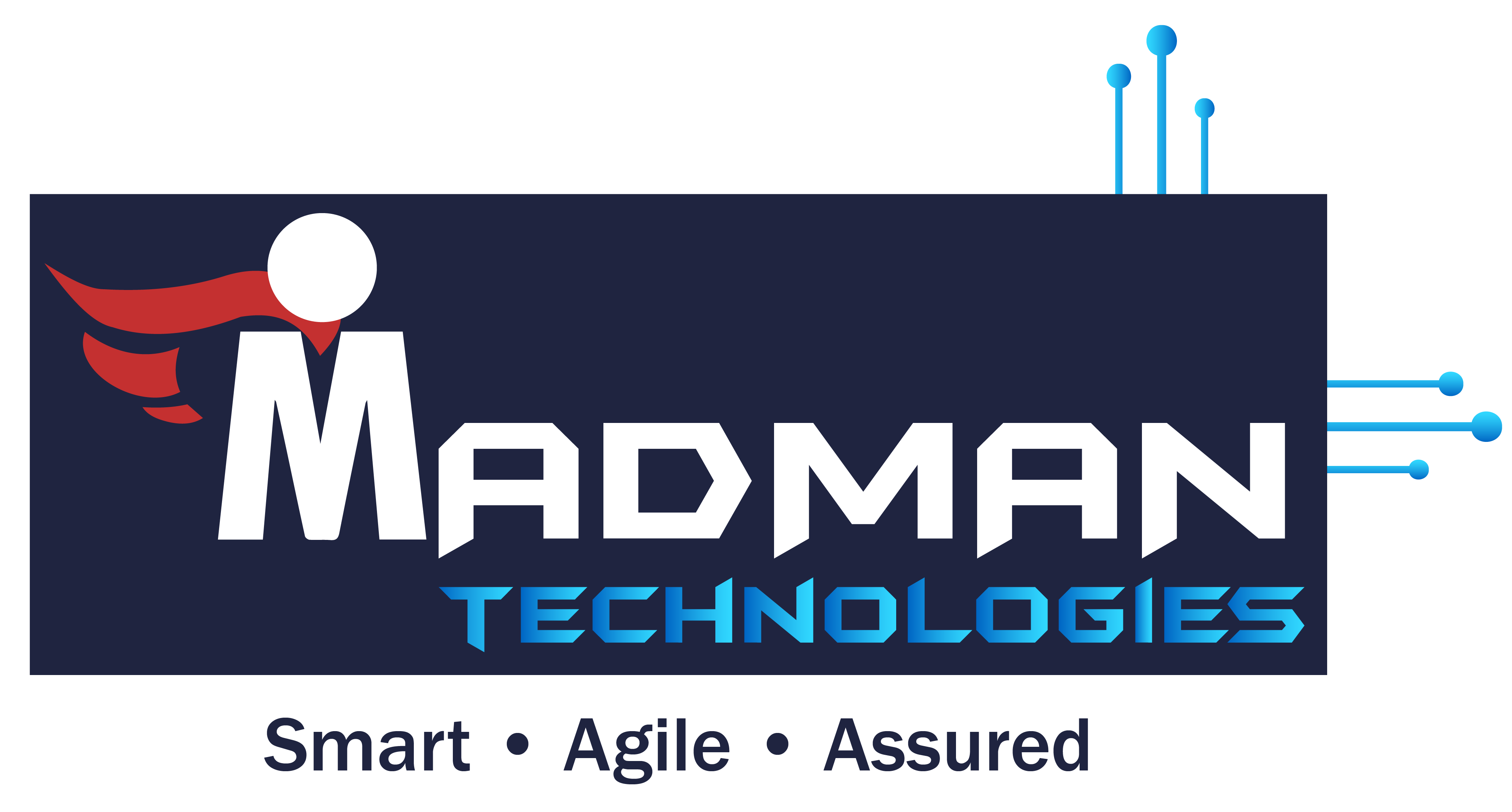 Madman Technologies Pvt.ООО - ИТ -консультанты и услуги медиа 2