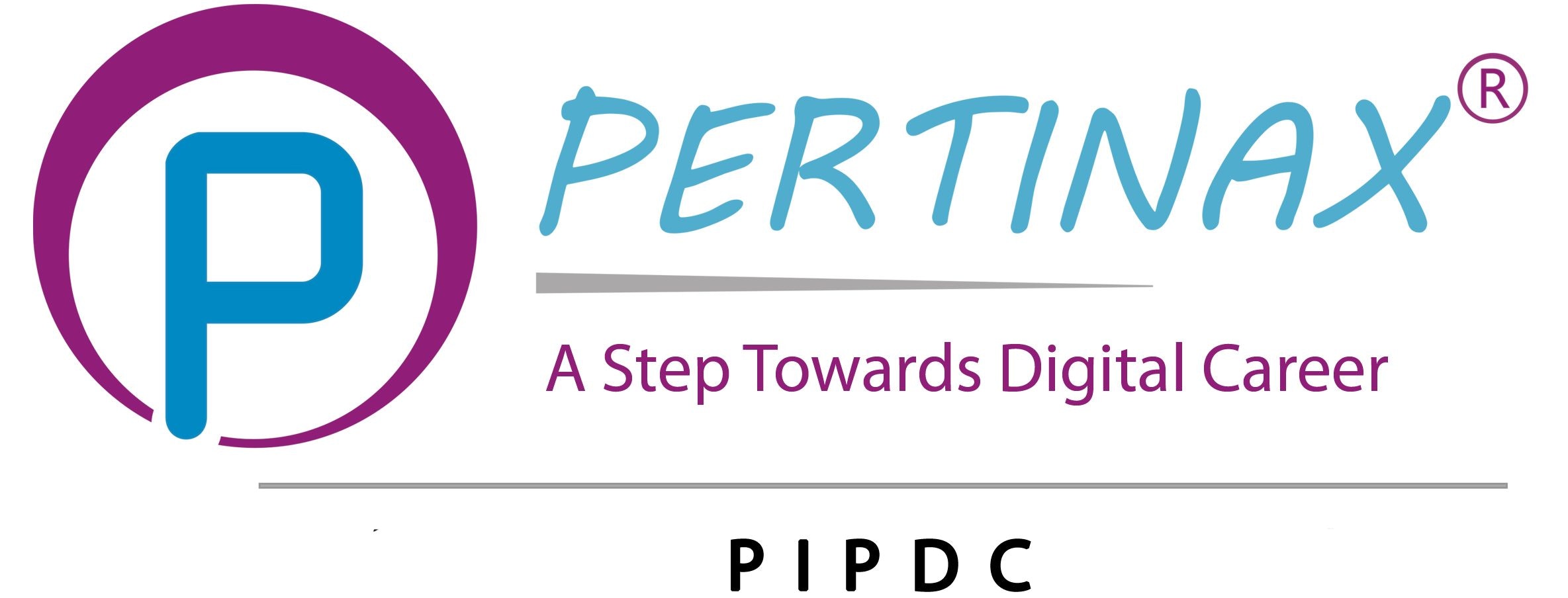 - Digital Marketing Course - Main product screenshot demonstrating key features and user interface