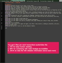 ElevenLabs Batch Transcriber gallery image