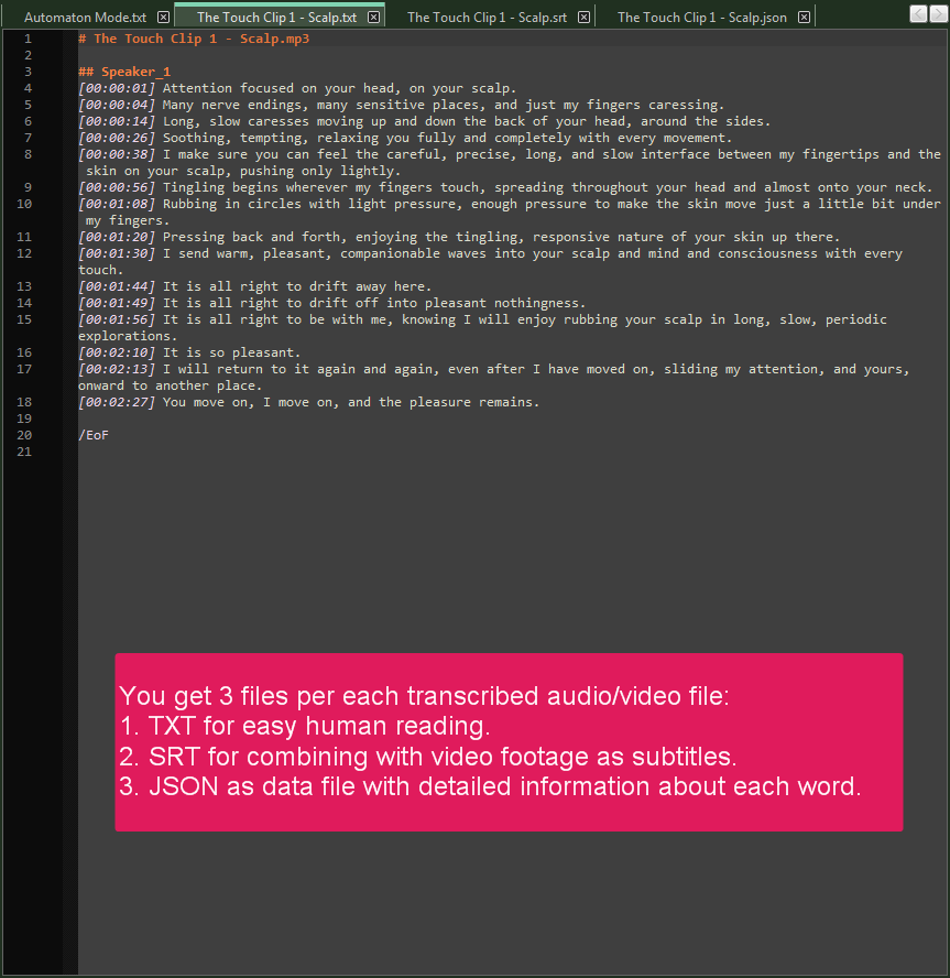 ElevenLabs Batch Transcriber media 4