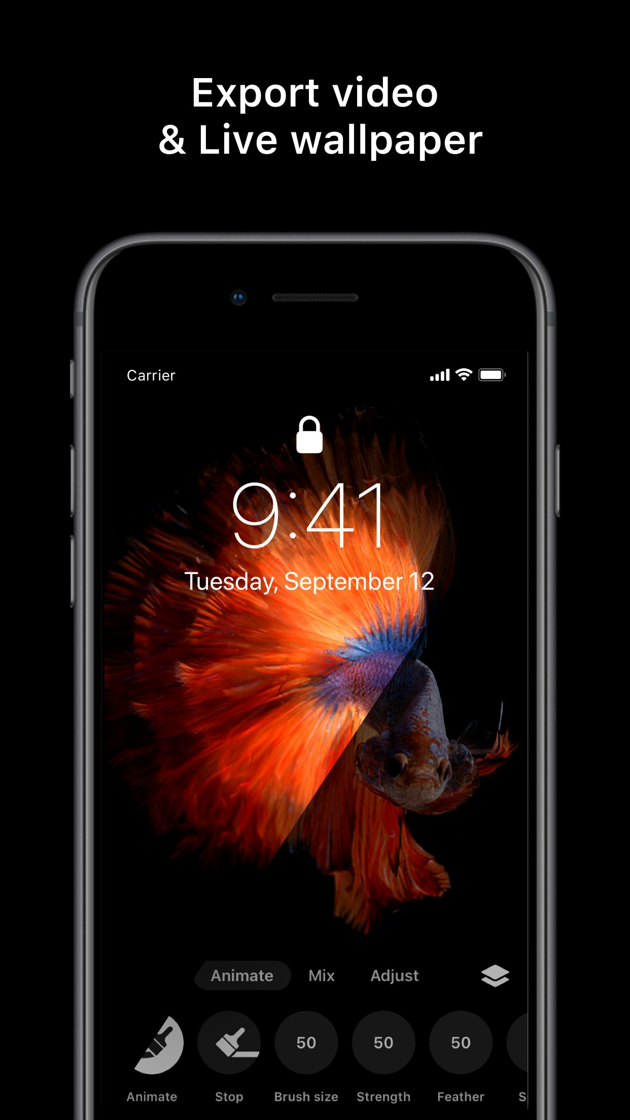 Disflow gallery image