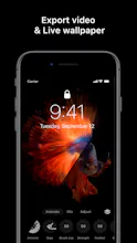 Disflow gallery image