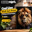 Cool Lion Wall Art Print | Funny Poster
