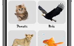 Learn Animals for Toddlers media 1