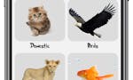 Learn Animals for Toddlers image
