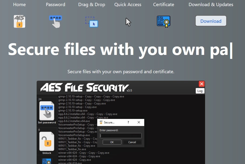 AES File Security media 1