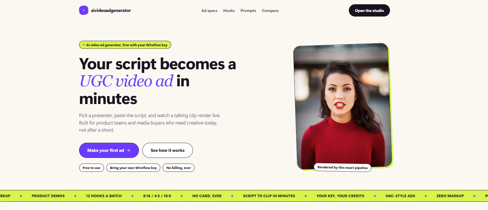 AI Video Ad Generator gallery image