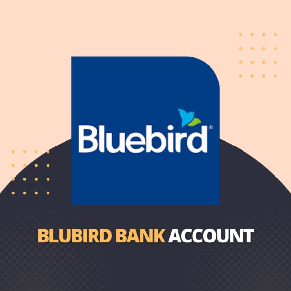Buy Verified Bluebird Accounts media 1