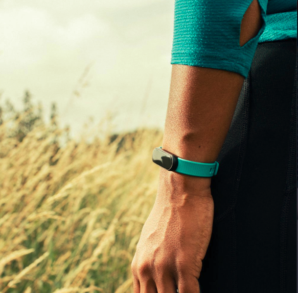 Tended gallery image