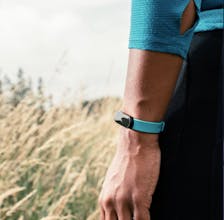 Tended gallery image