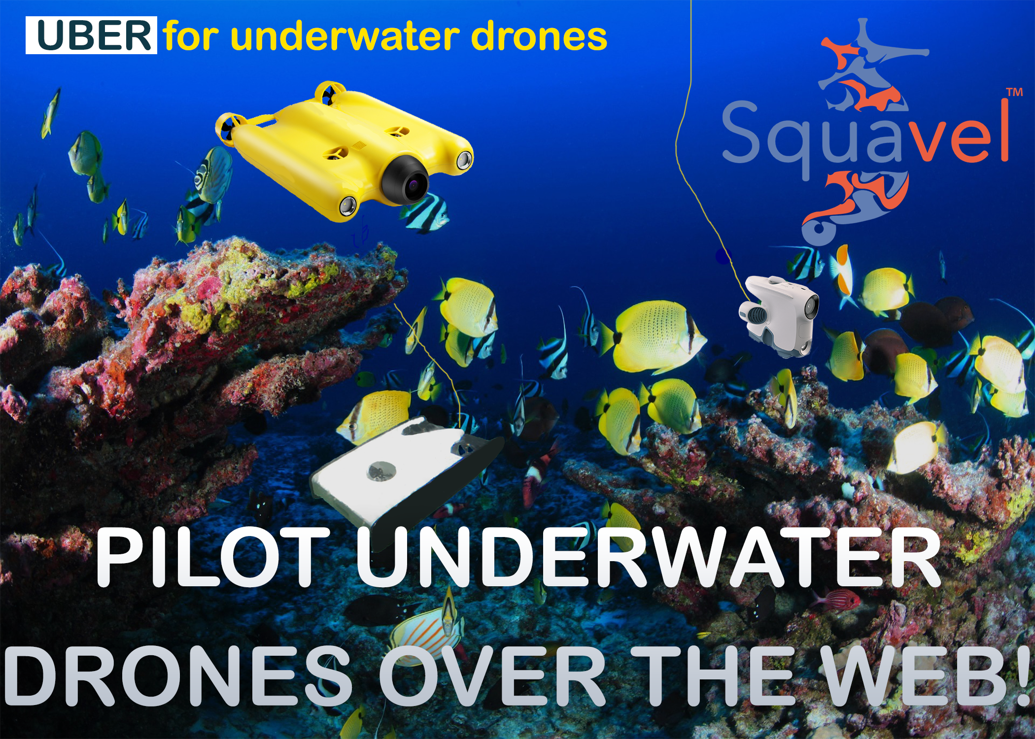 Squavel gallery image