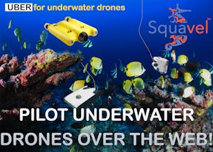 Squavel gallery image