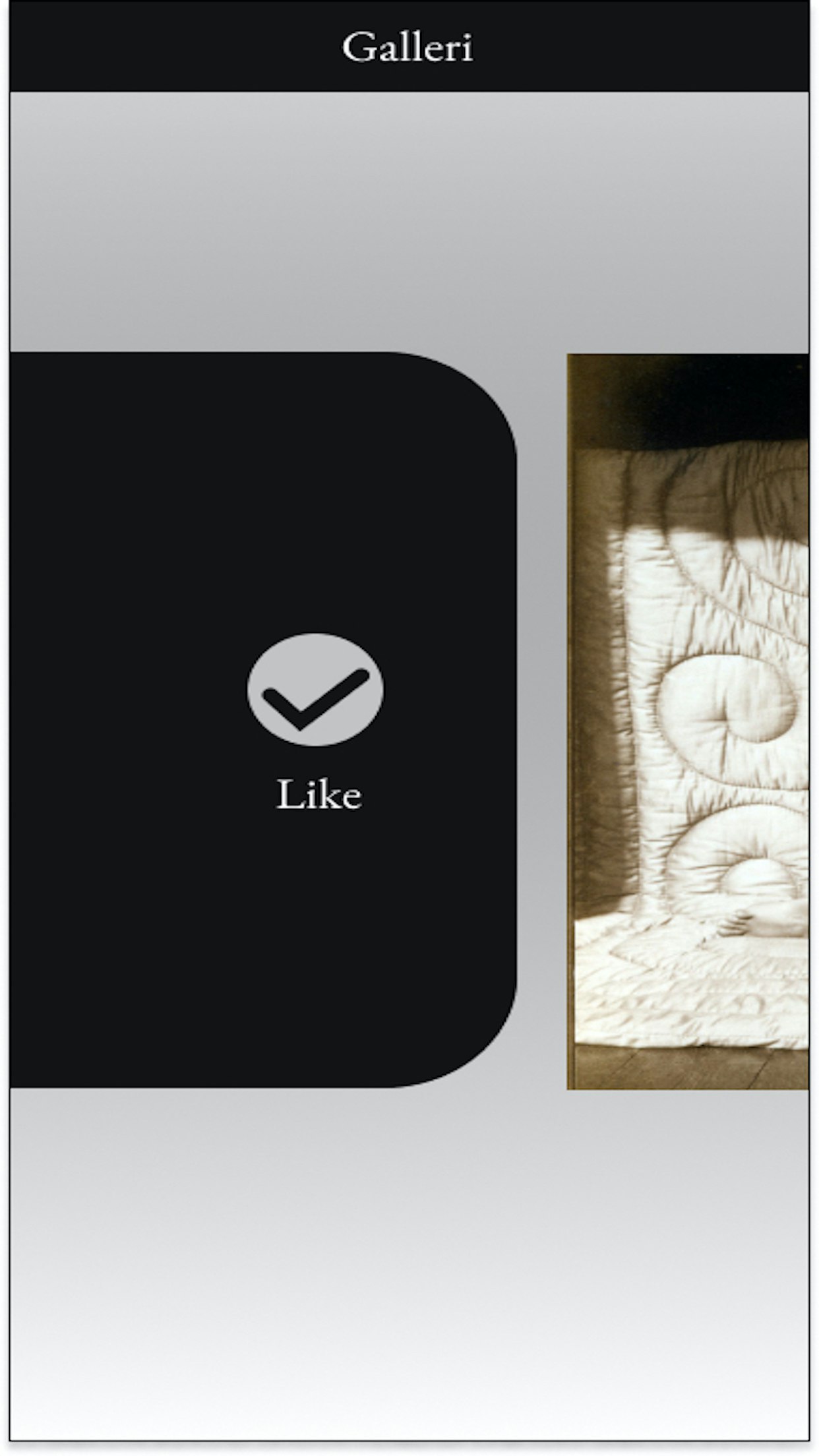 Galleri gallery image