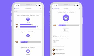 Honeyfi Spending Challenges gallery image