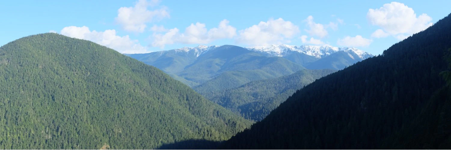 ashley buerkett cover