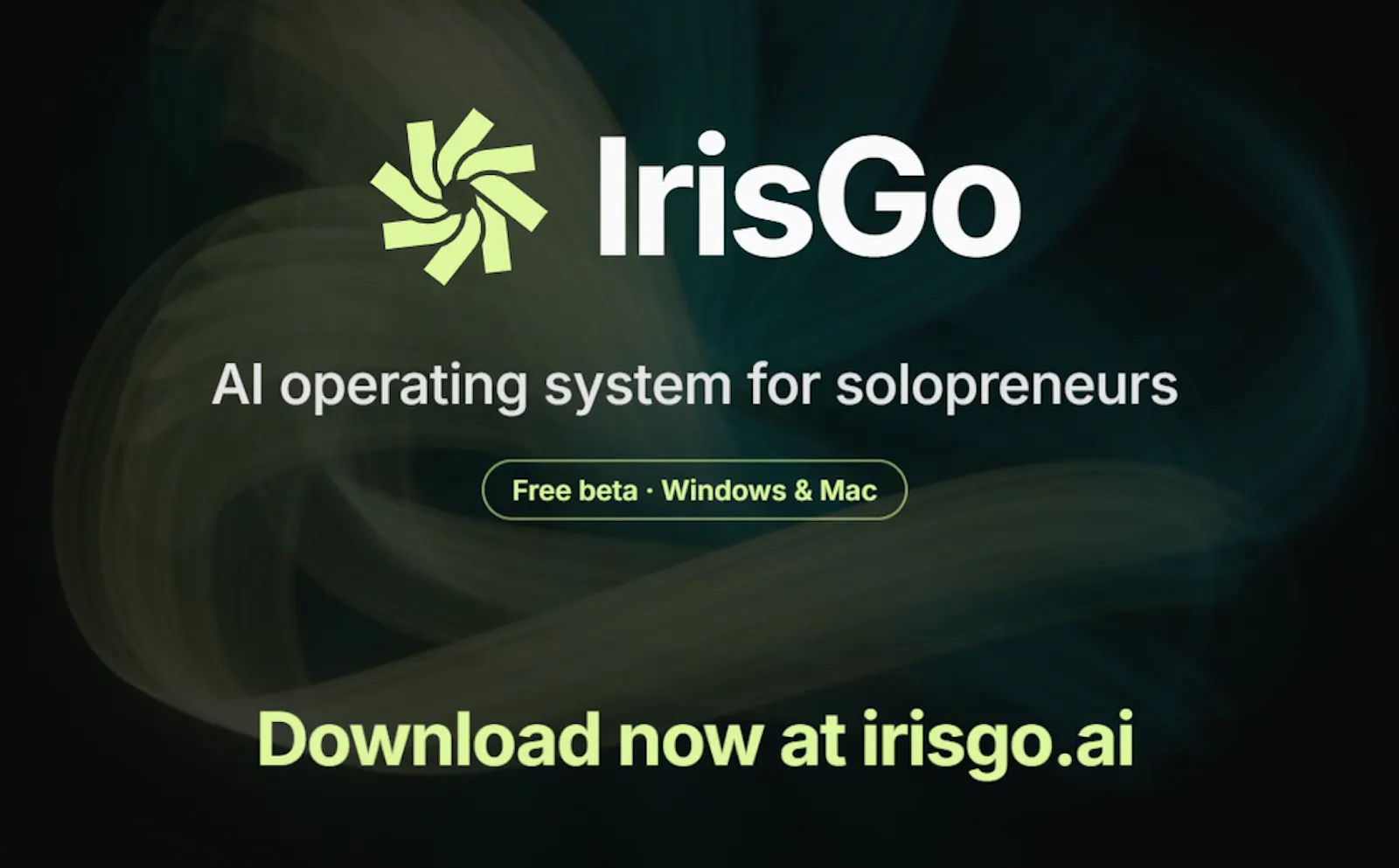 IrisGo for Solopreneurs screenshot 9