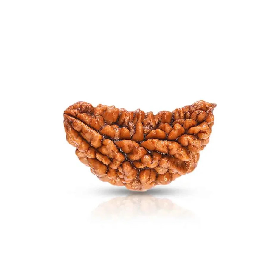 Média Astro qui change la vie - Rudraksha 2