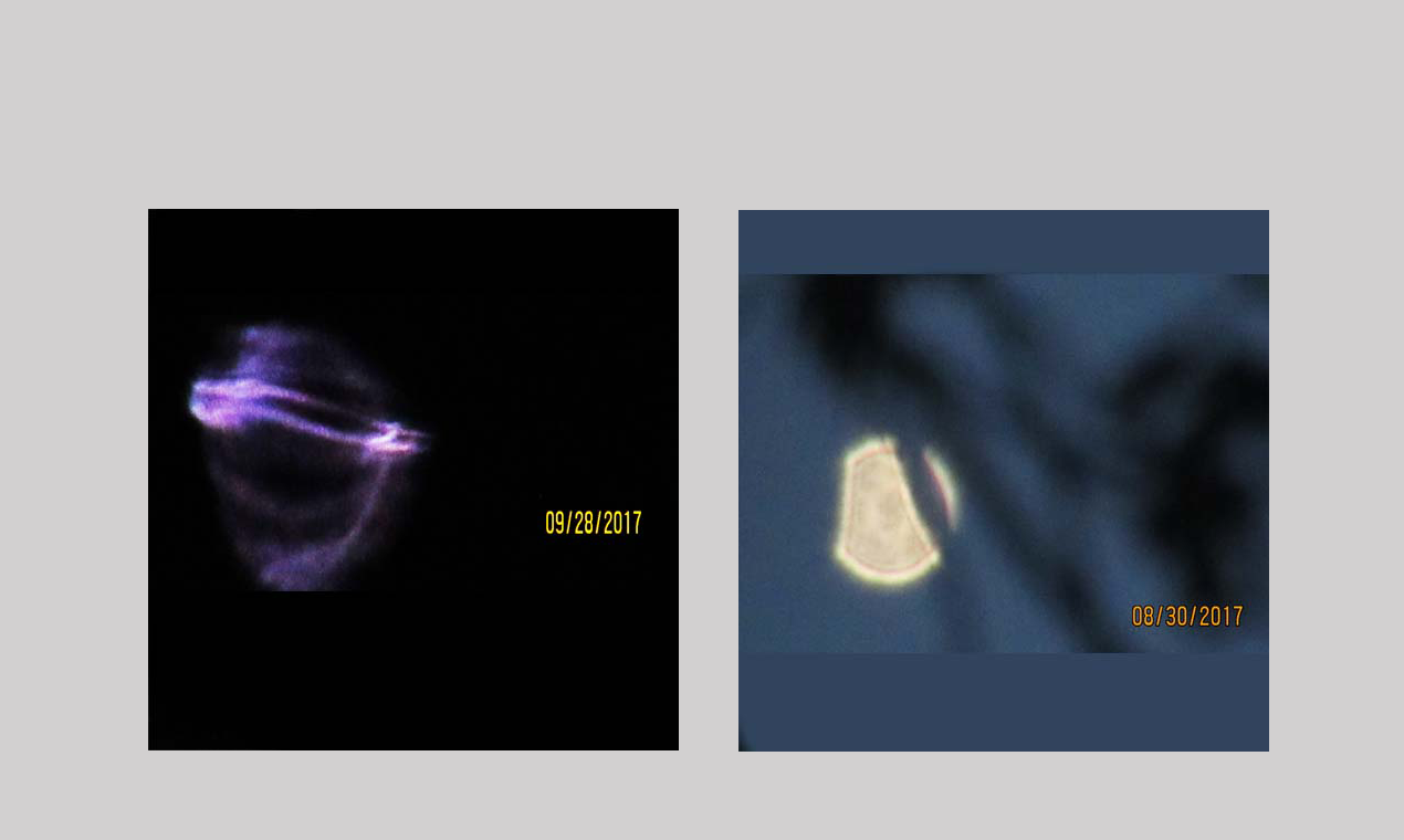 Media Kejuruteraan terbalik minda UFO - Bukan hanya kursus UFO/UAP.Ini pengalaman UFO/UAP. 3