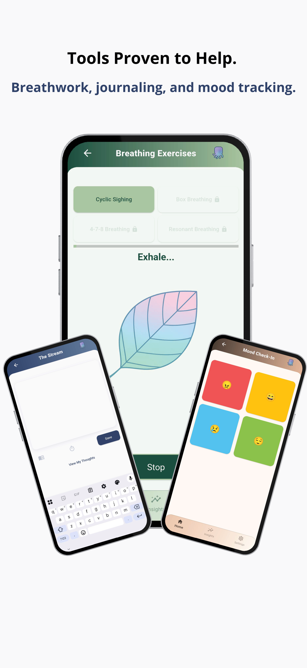 Takomi gallery image