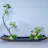 Ikebana Reflections: Calm Redefined