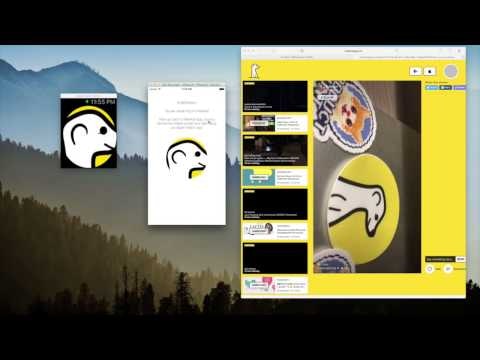 Lead Me on Meerkat gallery image