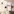 Noctune : Offline Music Player