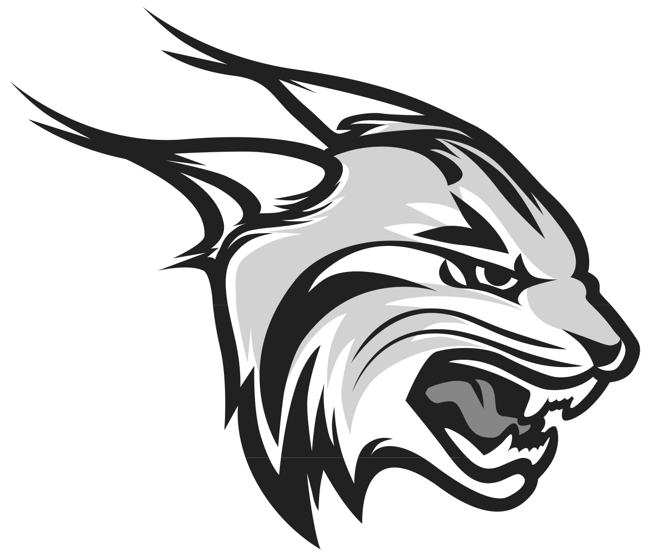 Lynx