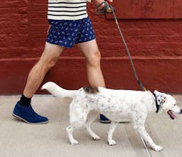 Harrys gallery image