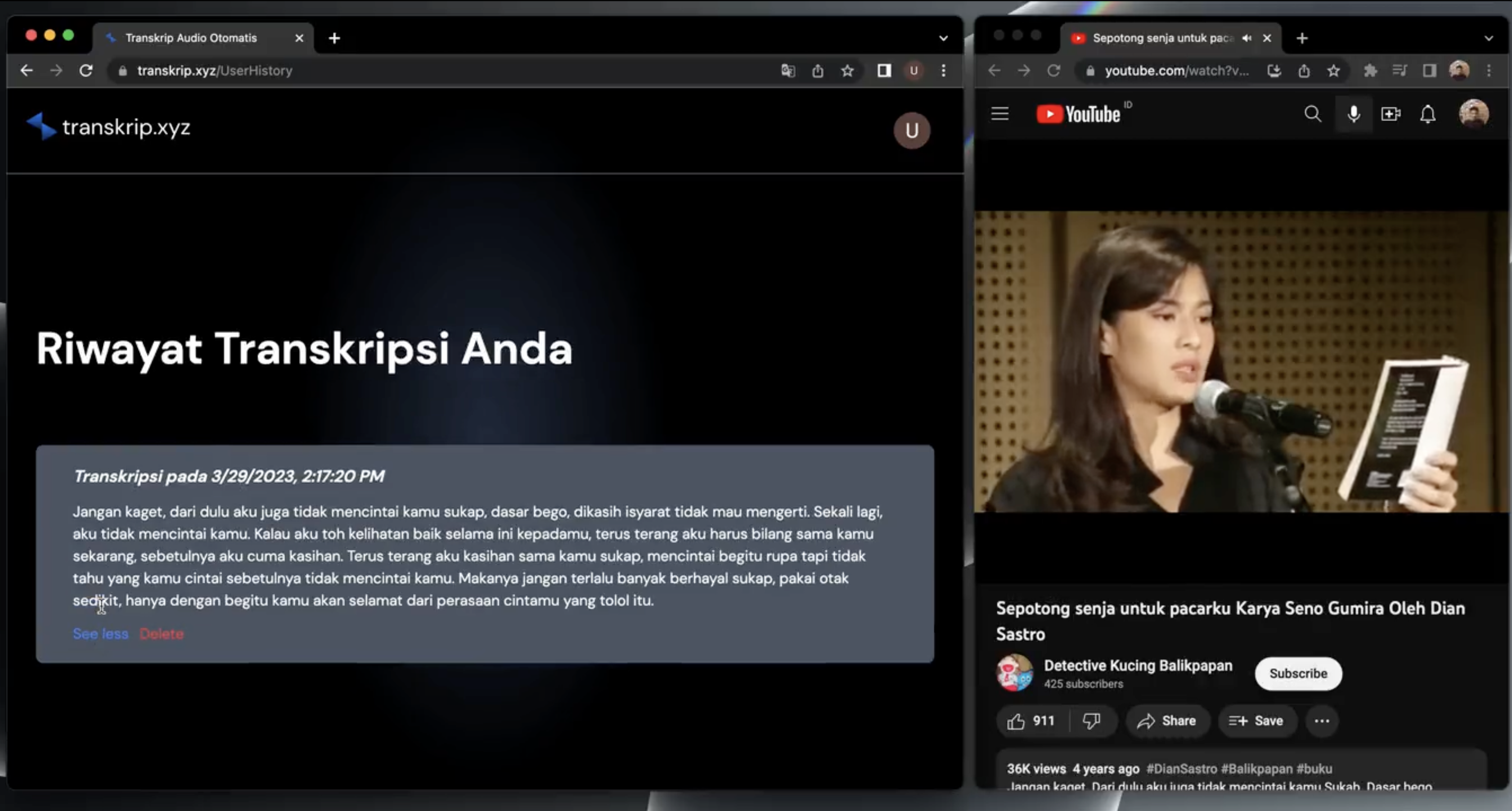 Média transkrip.xyz - Selon la douleur de la transcription audio 3