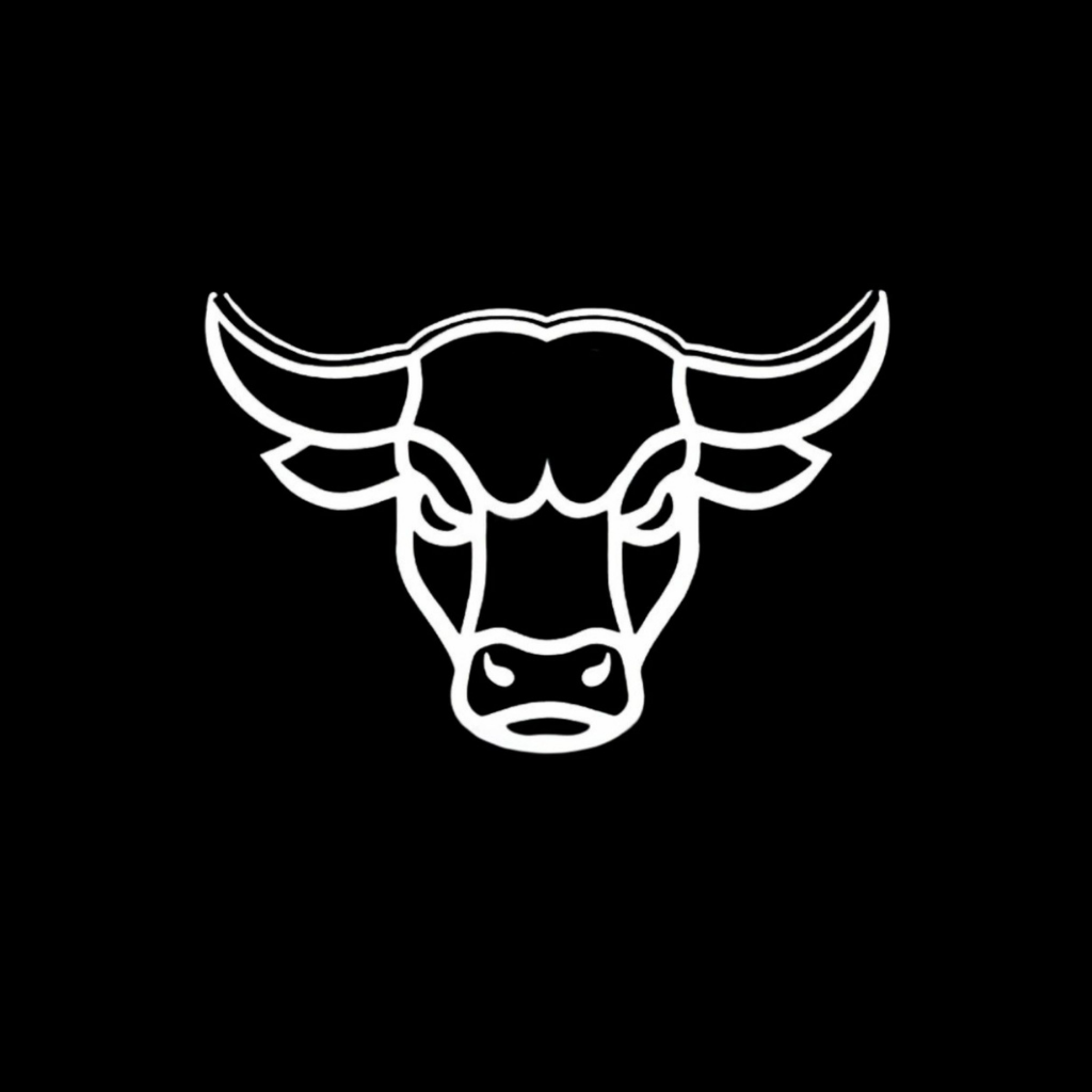 BULLTZ Fitness logo