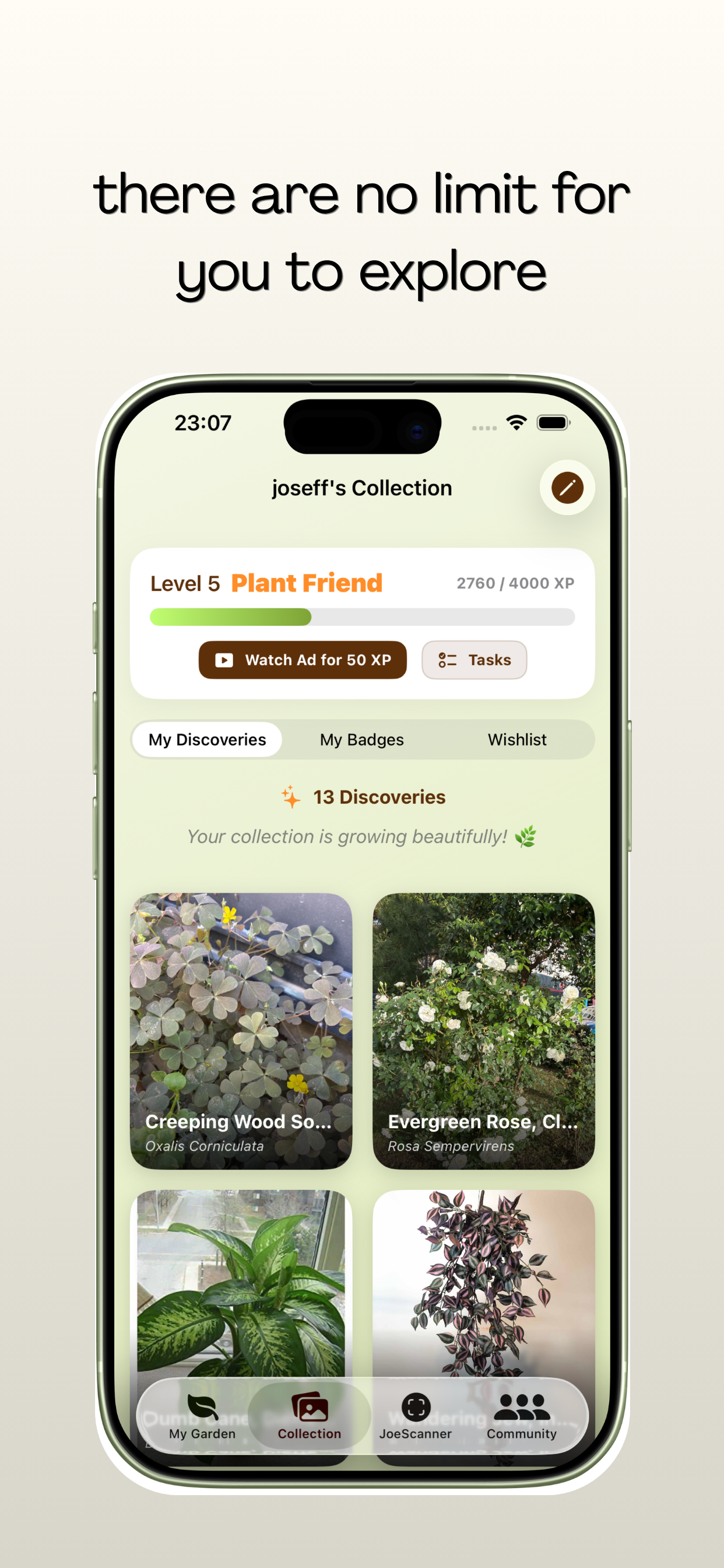 plantjoe - identify and take care plants gallery image