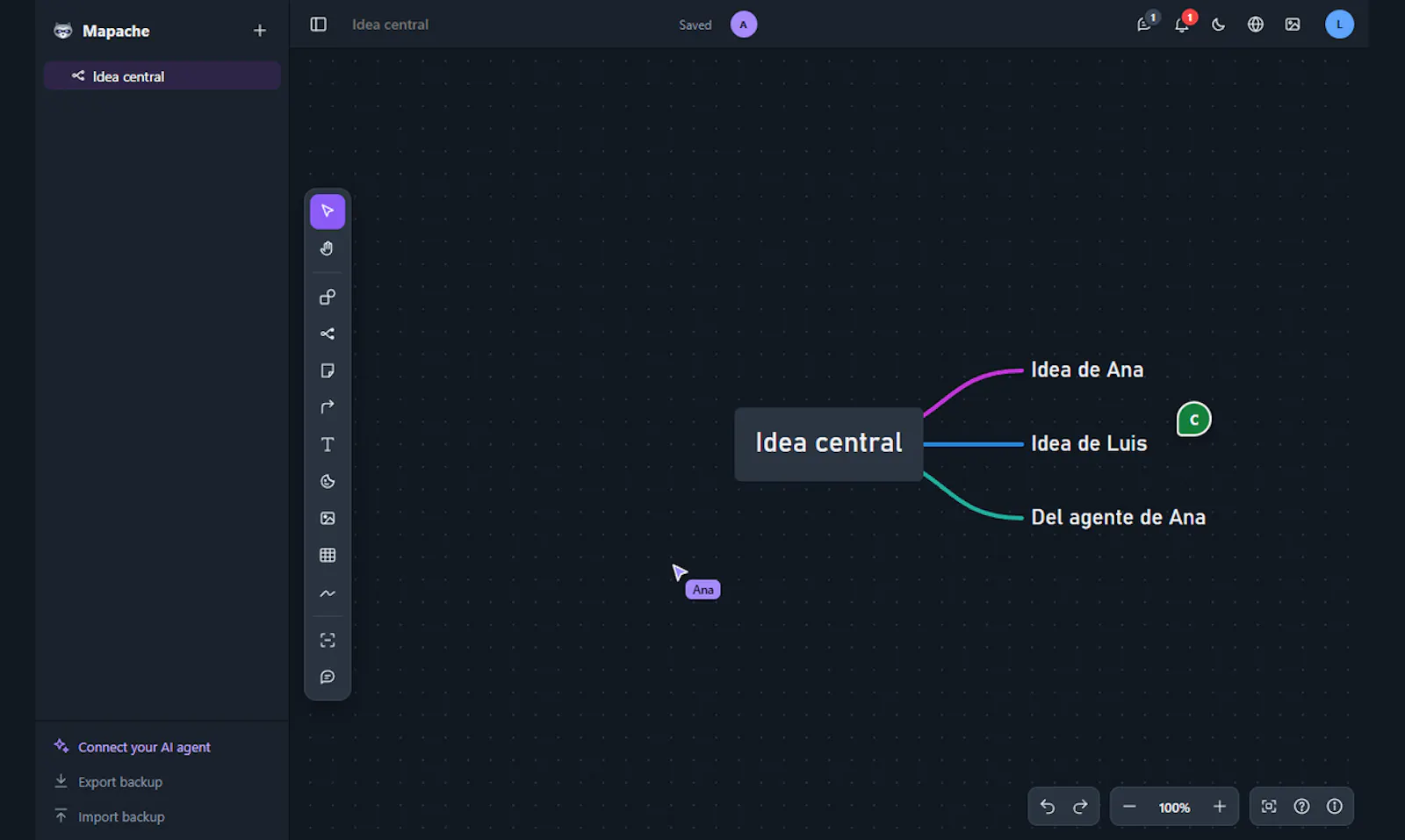 Mapache screenshot 4