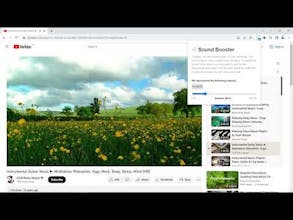 Sound Booster gallery image