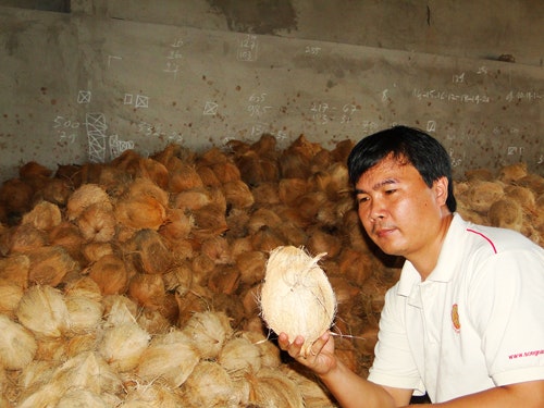 Coconut - Song Nam ITD Co.,Ltd