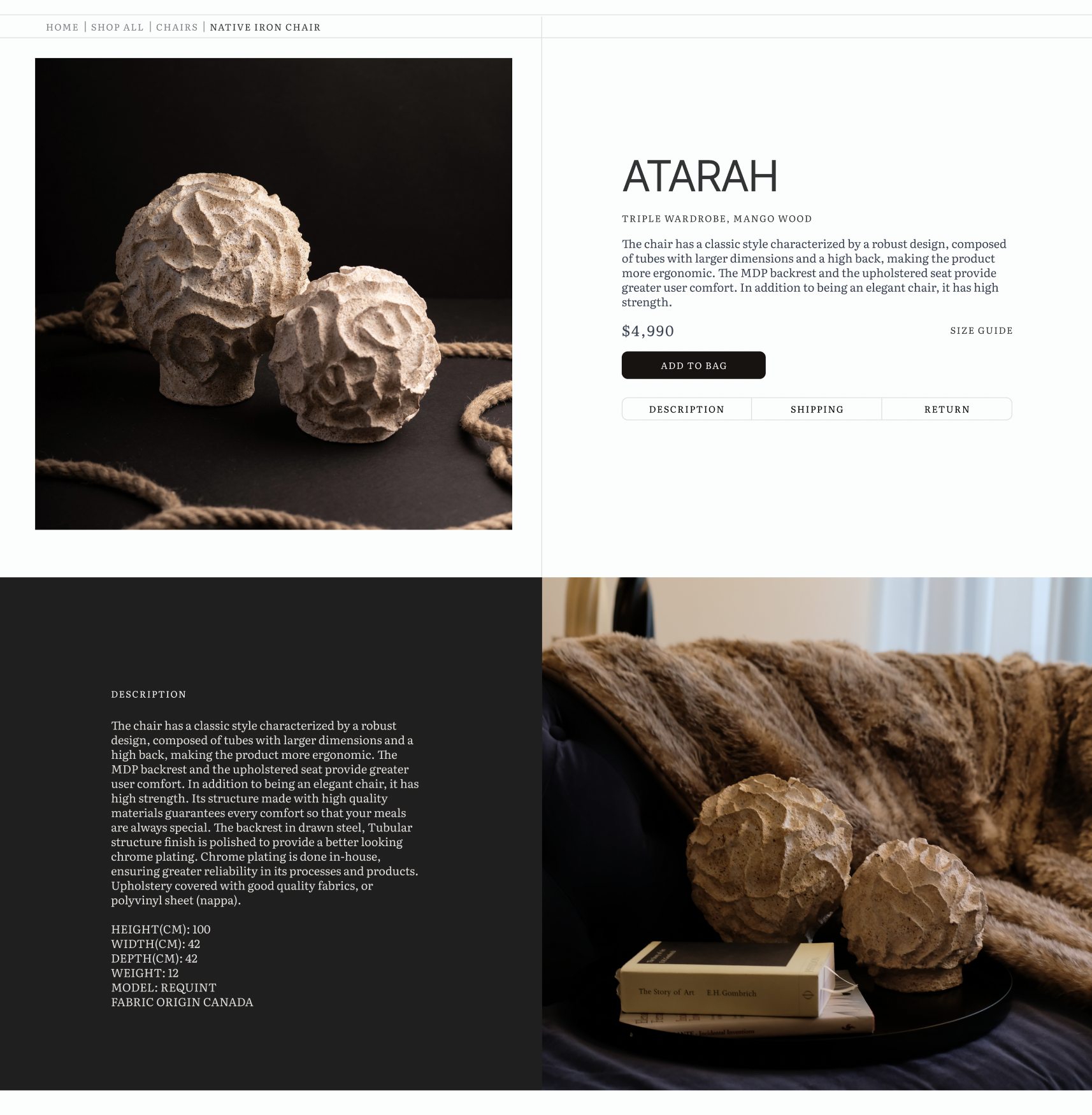 Zyna Studio media 5