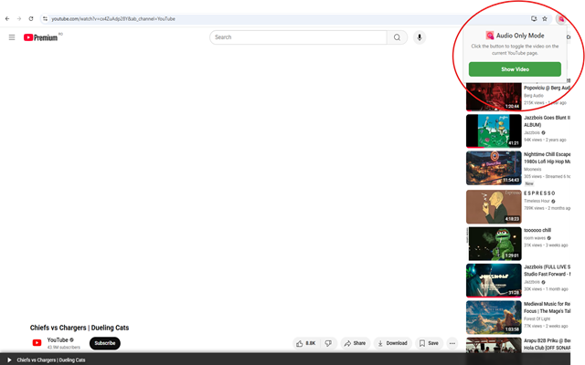 Mídia 3 de Apenas áudio do YouTube - Bloqueie a reprodução de vídeo no YouTube
