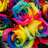 Culture Colors