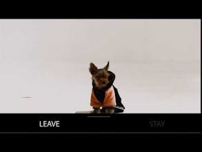 BanderSnap gallery image