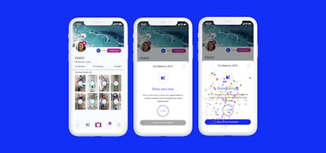 Swelly 5.0 gallery image