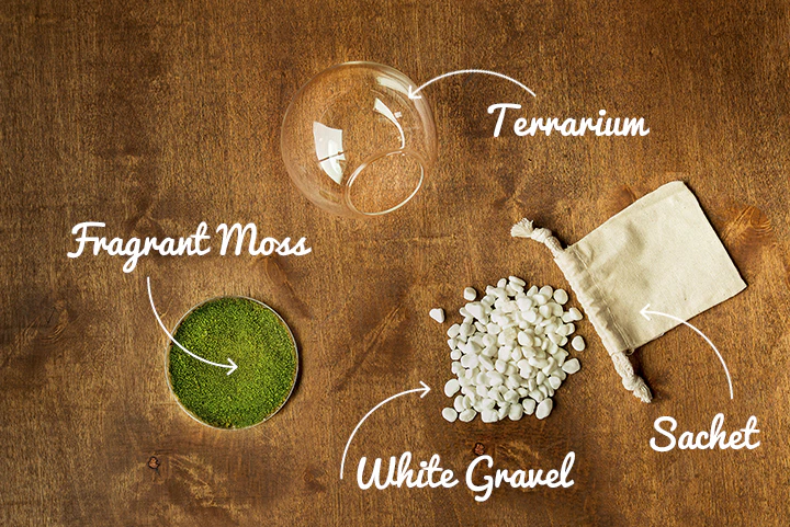 Orbella Fragrant Moss Image