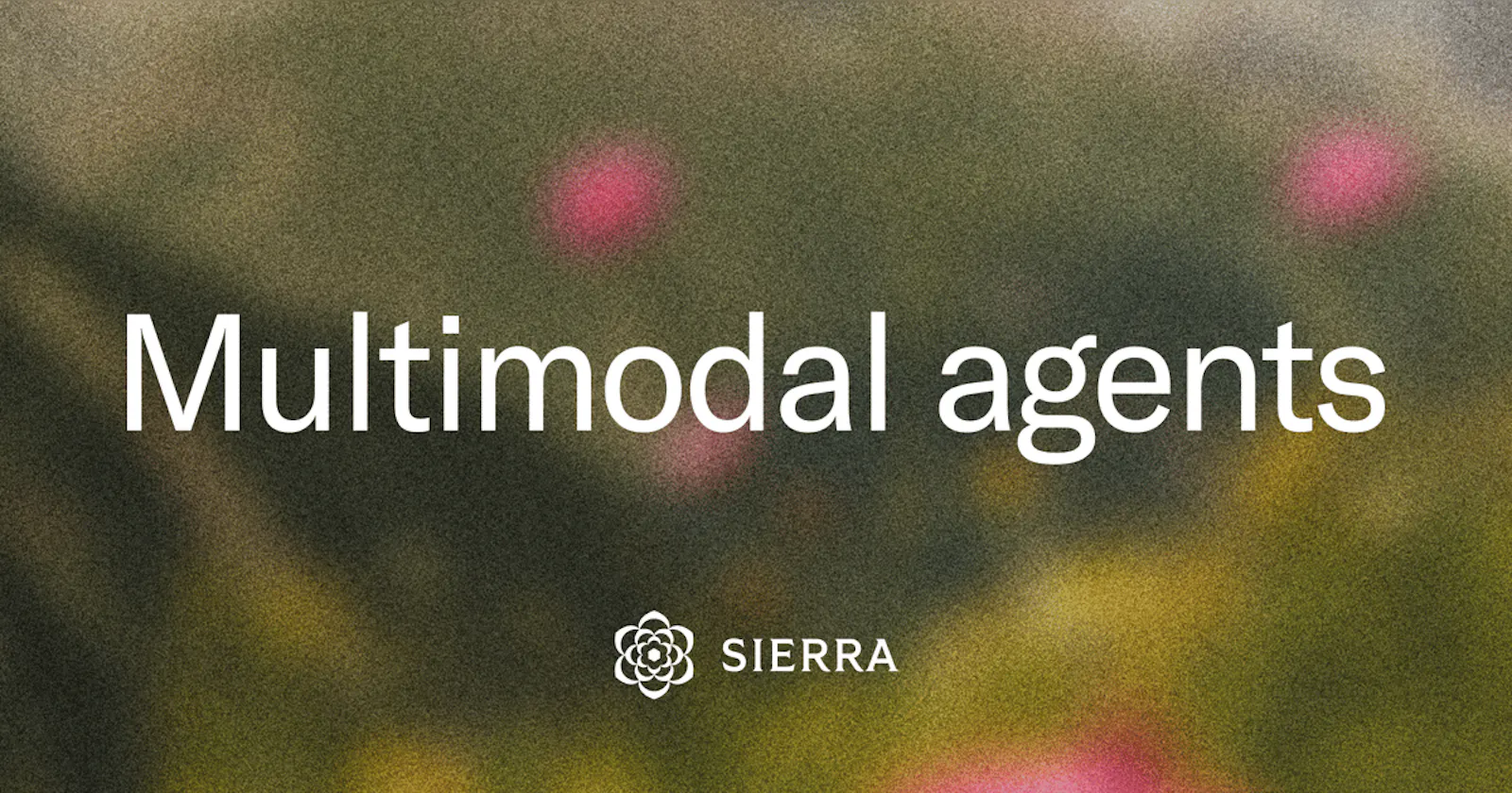 Multimodal Agents by Sierra screenshot 2