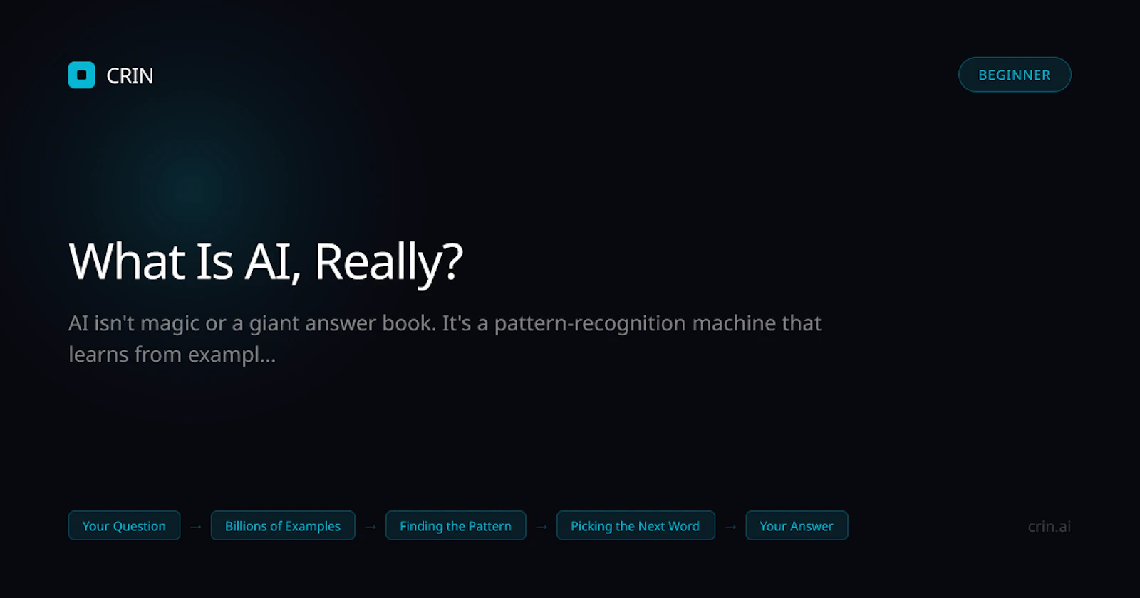 Crin AI screenshot 2