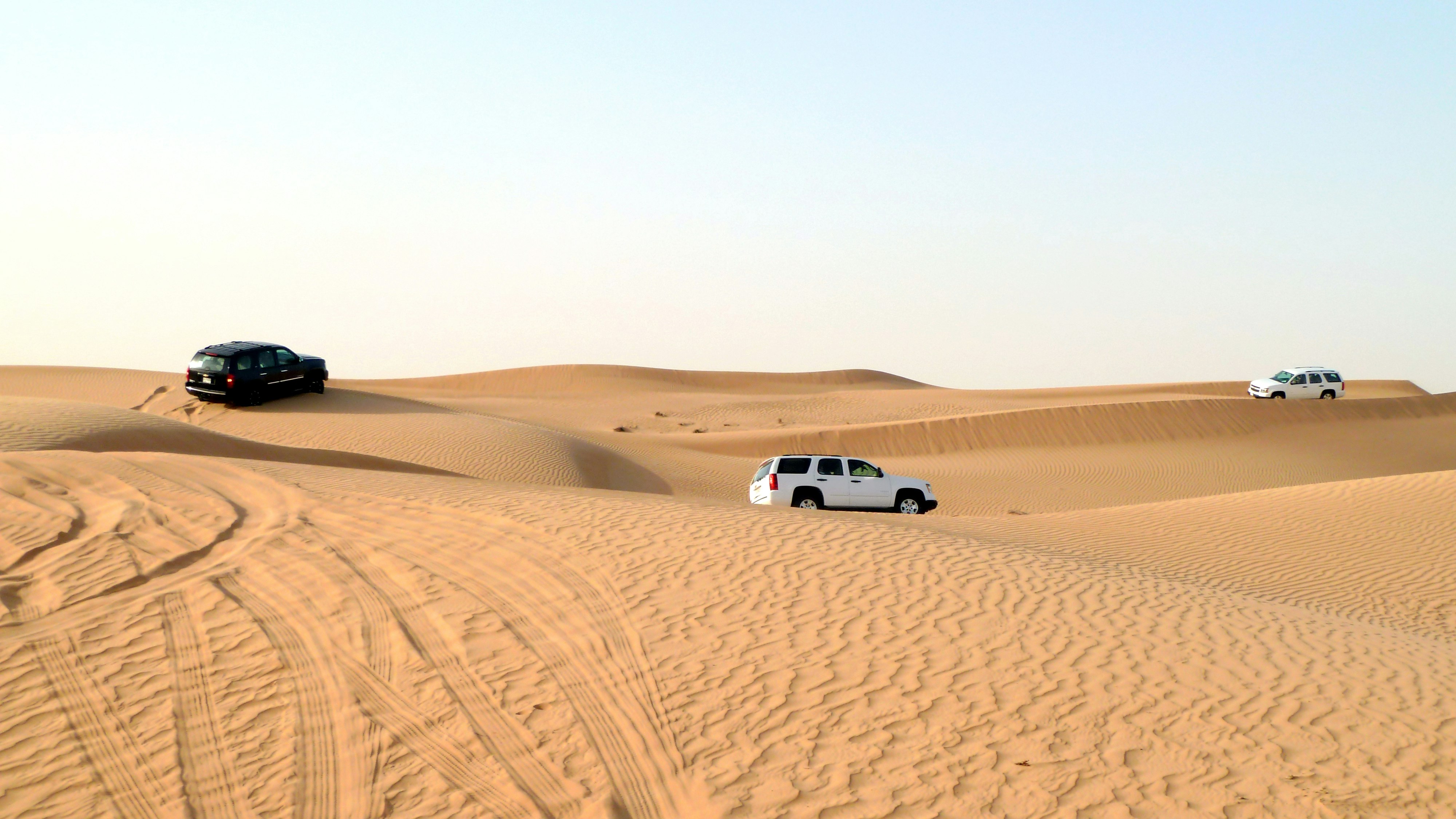 AI News gallery image