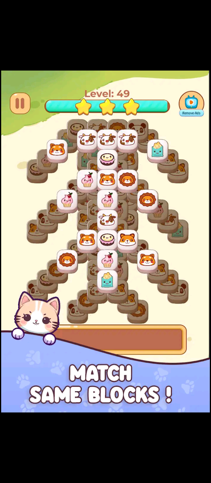 Perlawanan jubin kucing media 1