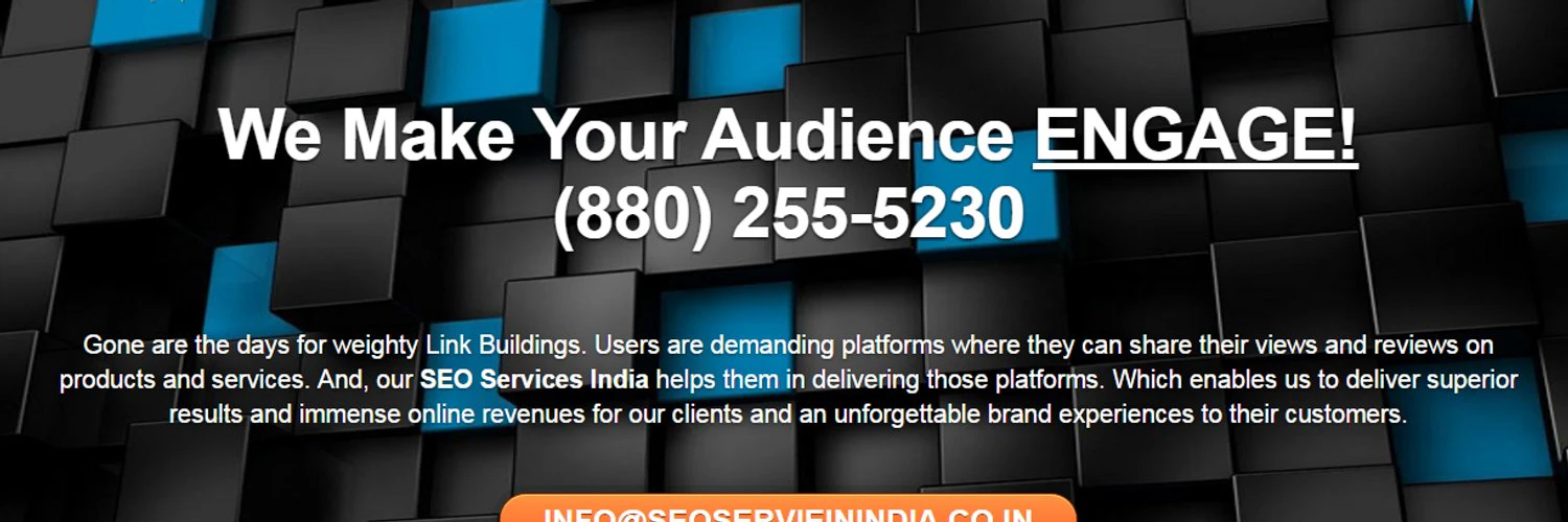 SEO SERVICE IN INDIA cover