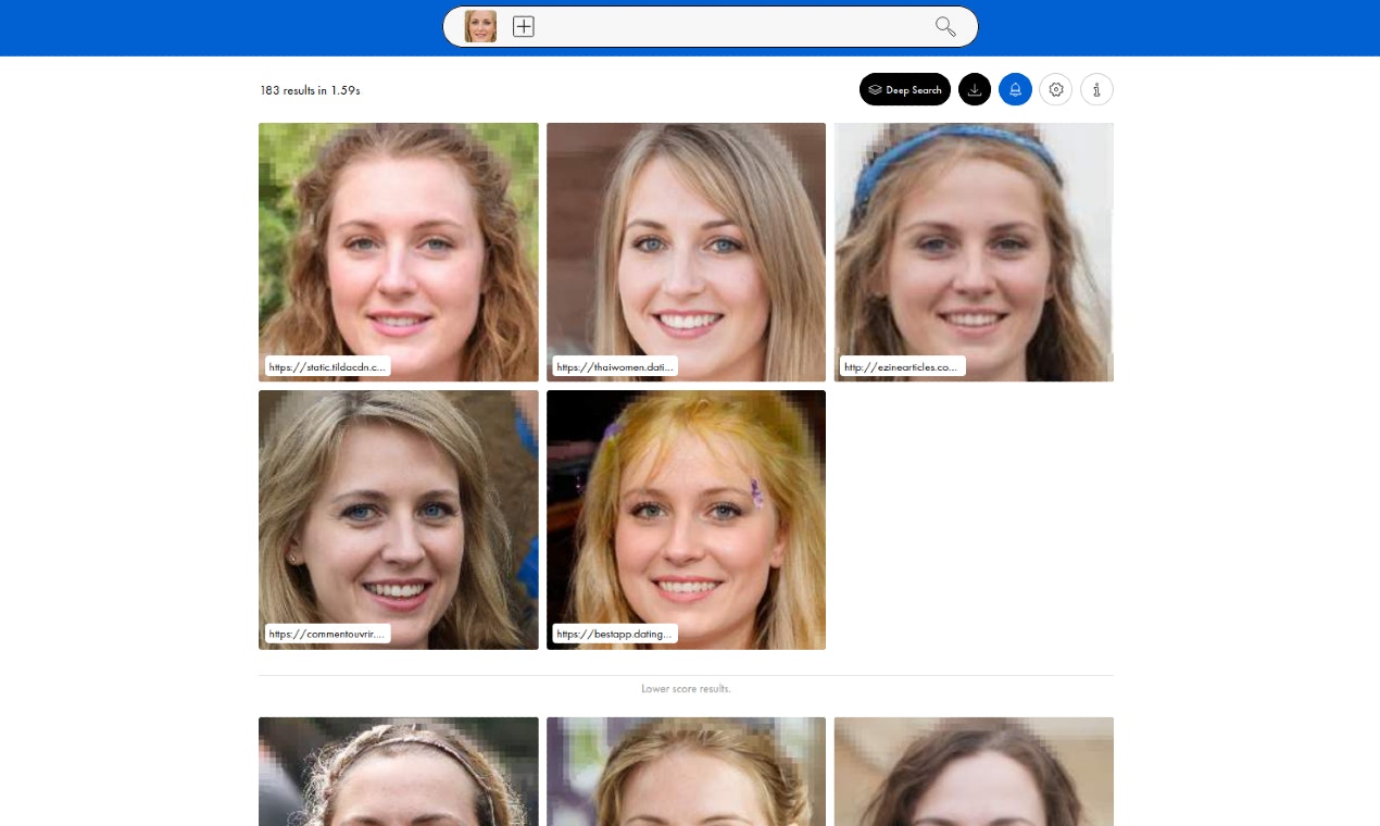PimEyes gallery image