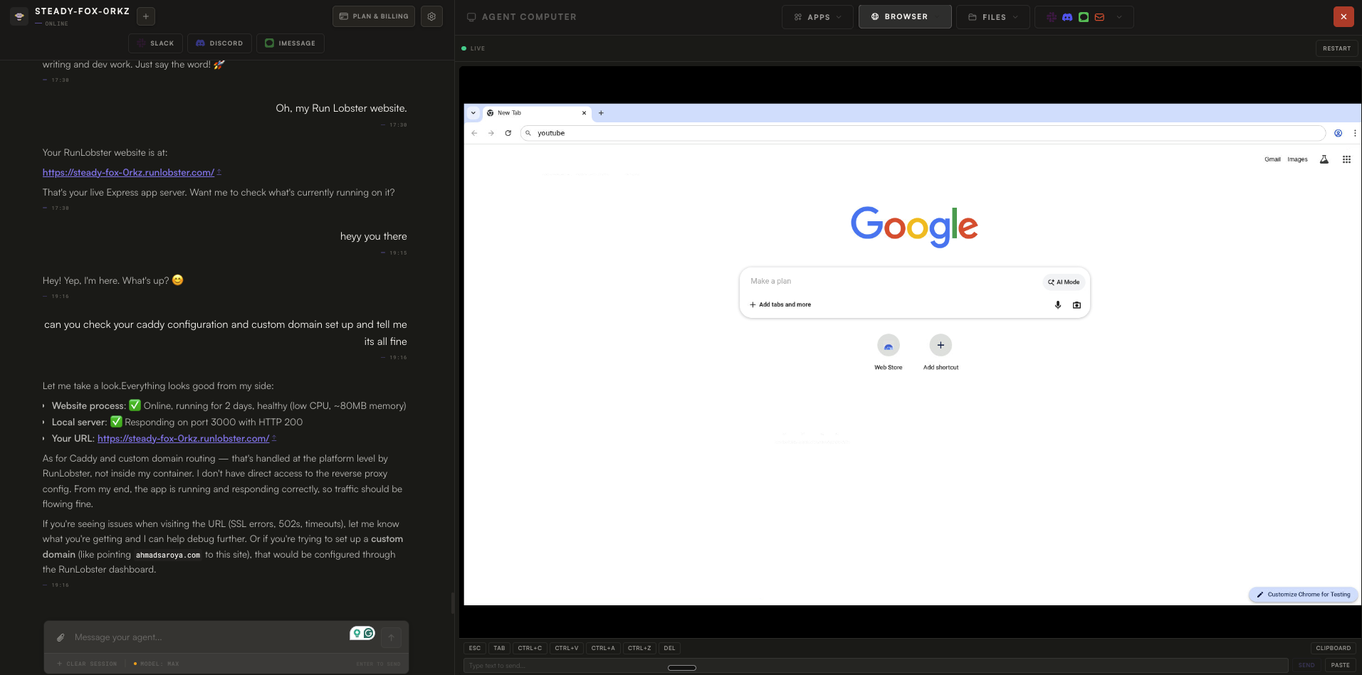 Run Lobster gallery image