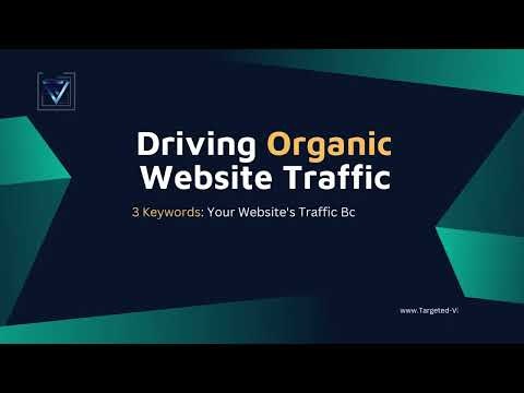 Orgnice Website Traffic gallery image
