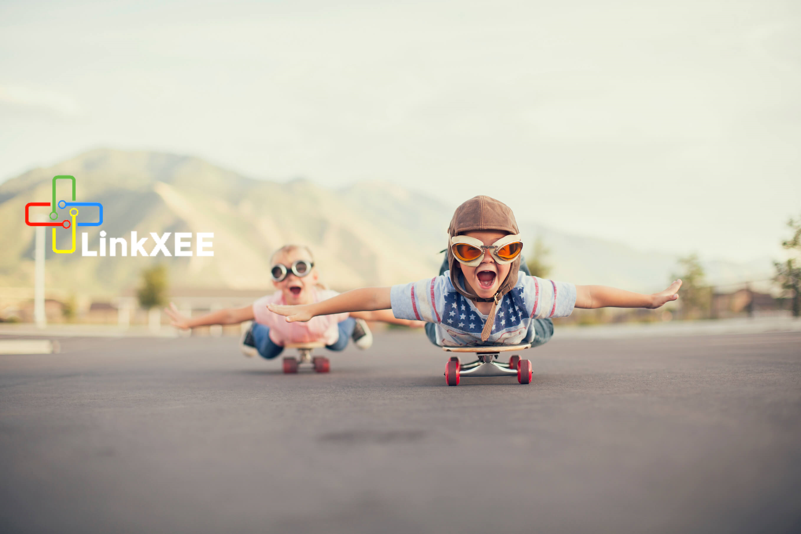 LinkXEE gallery image