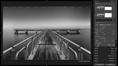 Alien Skin Exposure X3 gallery image